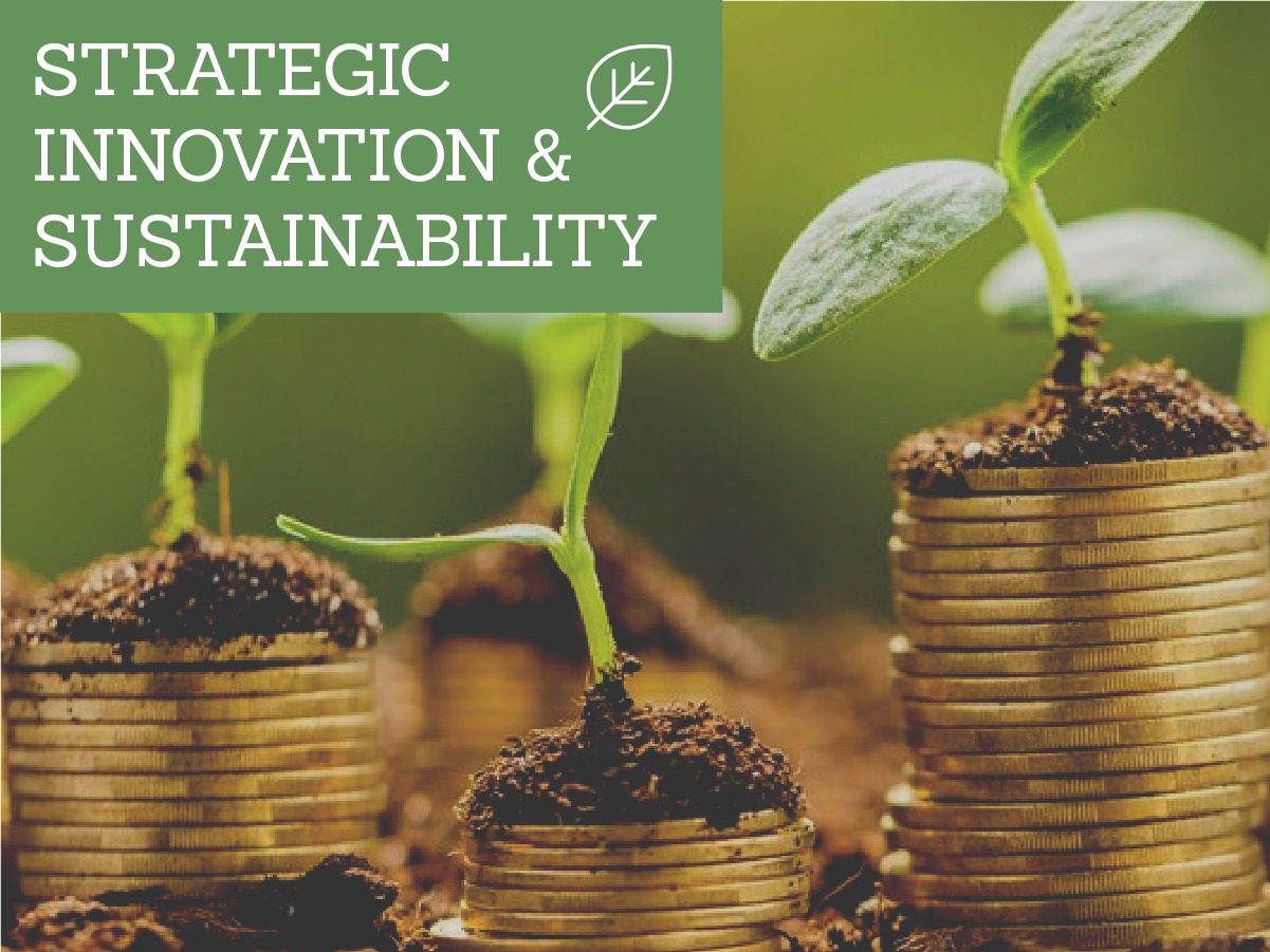 The Relationship Between Strategic Innovation And Sustainability | Oesse